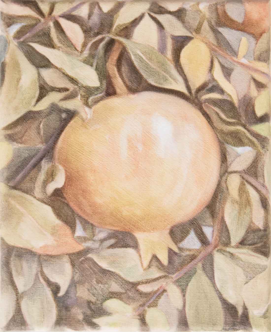 Ruben Muller, Pomegranate, 2025, Huxley-Parlour