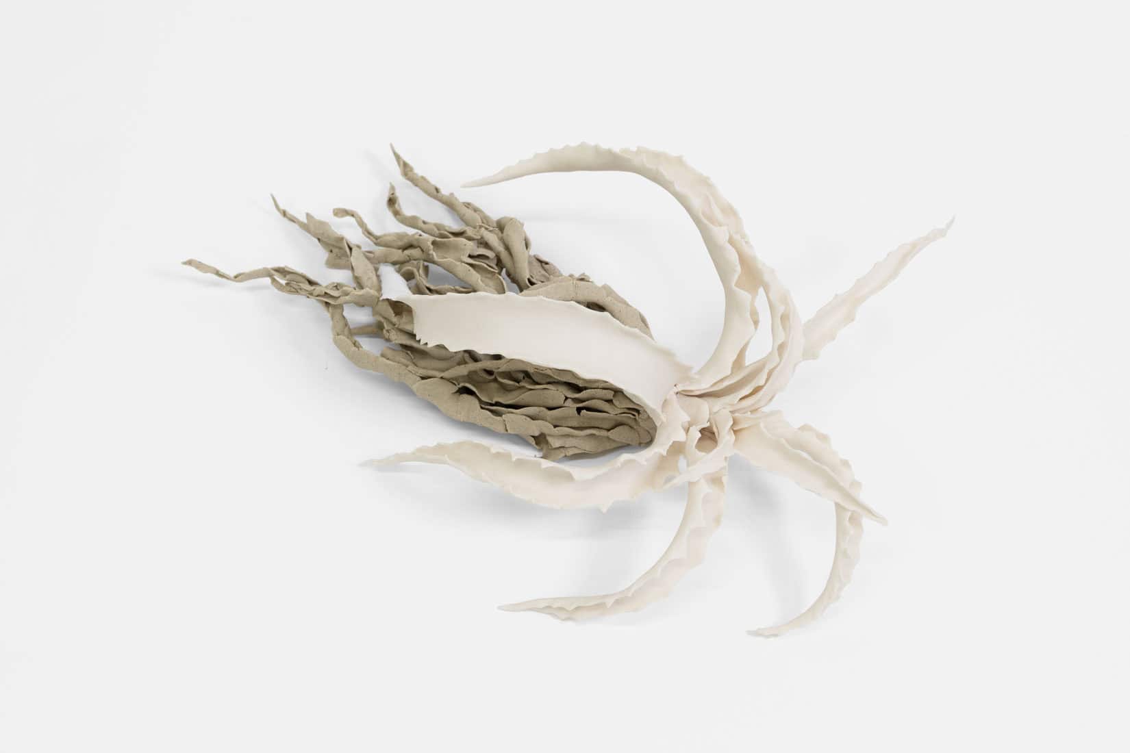 Katie Spragg, Beusty Aloe 1, 2, 3, 2023, Porcelain, porcelain-buff clay blend, 9 x 6 1_2 x 3 inches, Huxley-Parlour