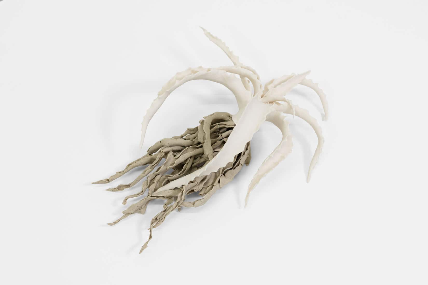 Katie Spragg, Beusty Aloe 1, 2, 3, 2023, Porcelain, porcelain-buff clay blend, 9 x 6 1_2 x 3 inches, Huxley-Parlour