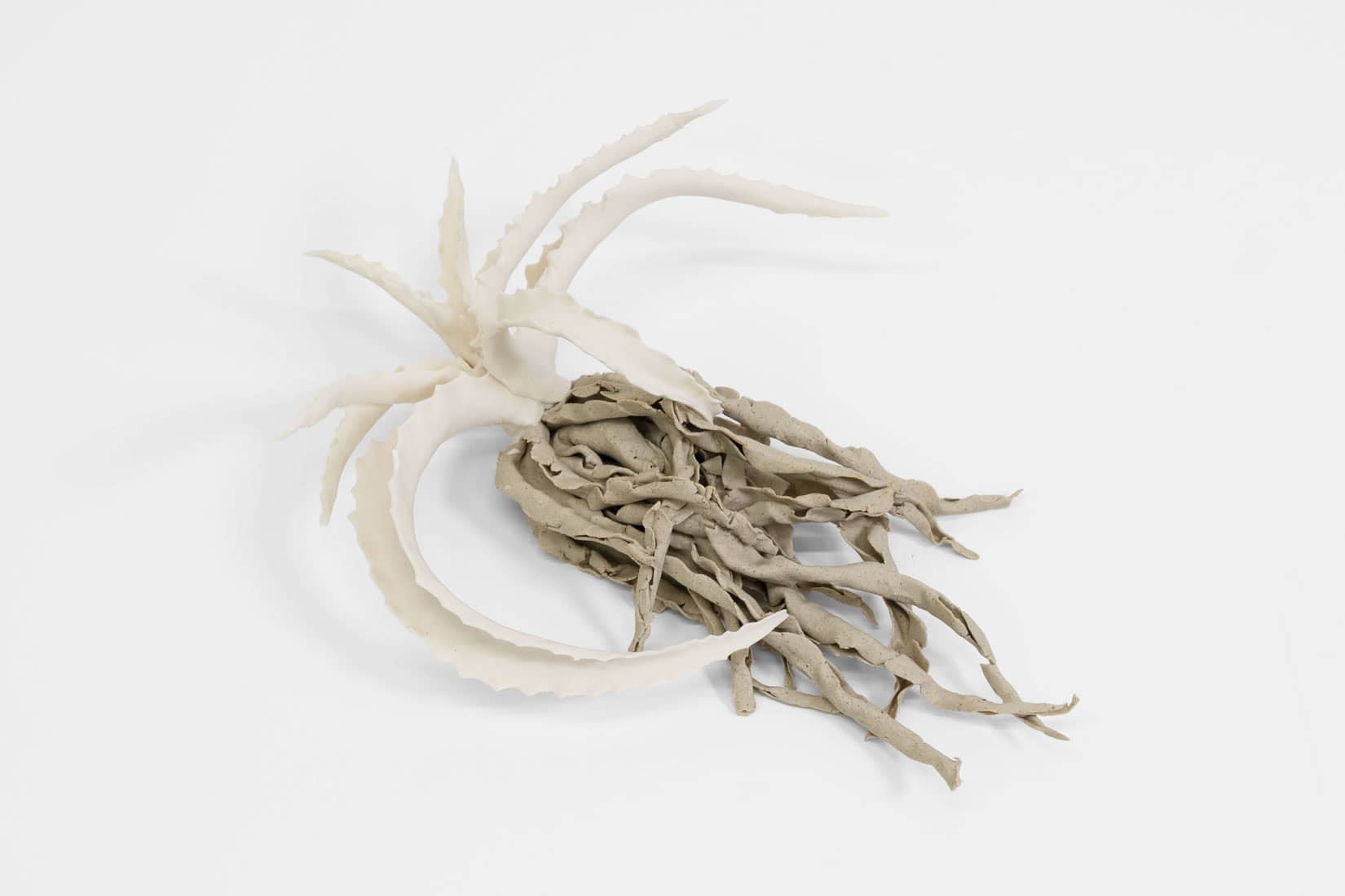 Katie Spragg, Beusty Aloe 1, 2, 3, 2023, Porcelain, porcelain-buff clay blend, 9 x 6 1_2 x 3 inches, Huxley-Parlour