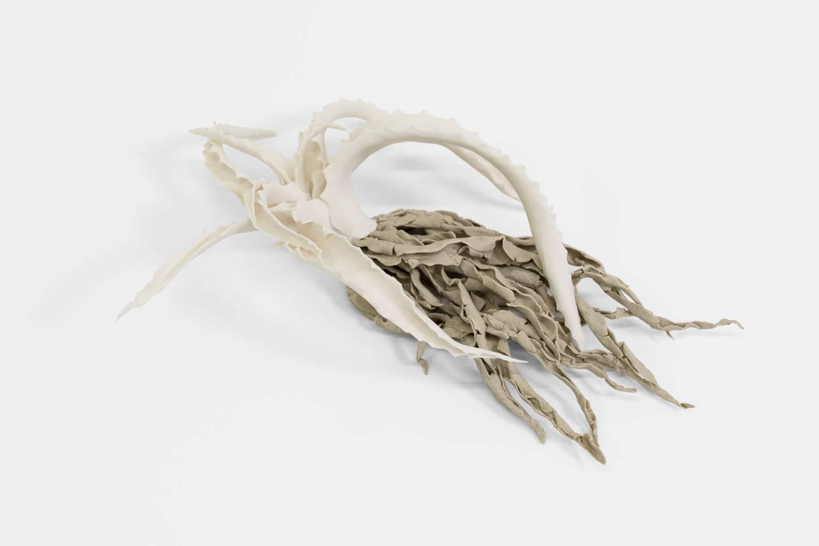 Katie Spragg, Beusty Aloe 1, 2, 3, 2023, Porcelain, porcelain-buff clay blend, 9 x 6 1_2 x 3 inches, Huxley-Parlour