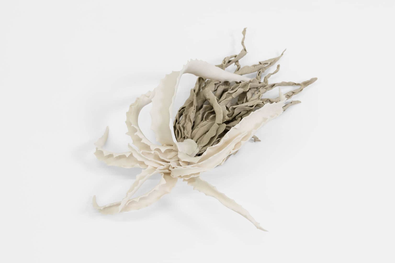 Katie Spragg, Beusty Aloe 1, 2, 3, 2023, Porcelain, porcelain-buff clay blend, 9 x 6 1_2 x 3 inches, Huxley-Parlour