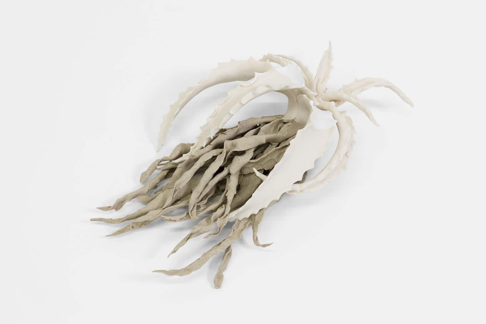 Katie Spragg, Beusty Aloe 1, 2, 3, 2023, Porcelain, porcelain-buff clay blend, 9 x 6 1_2 x 3 inches, Huxley-Parlour