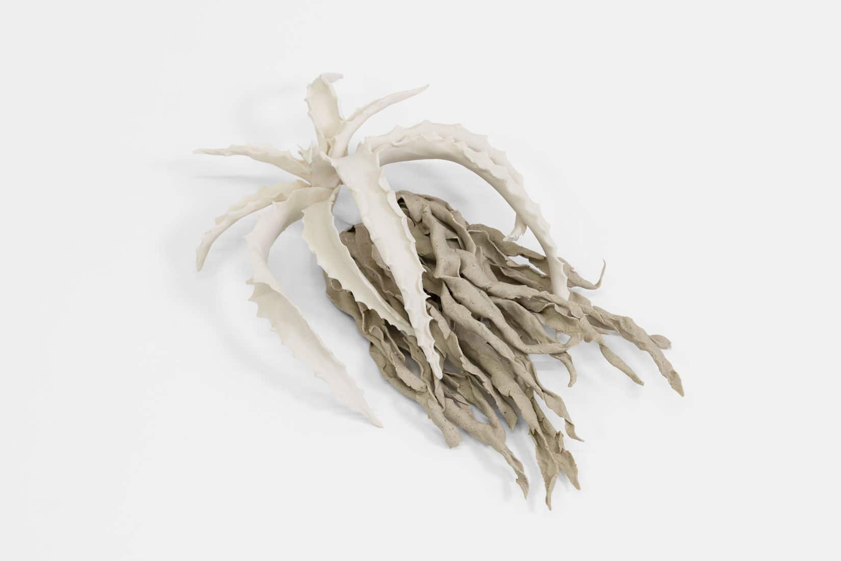 Katie Spragg, Beusty Aloe 1, 2, 3, 2023, Porcelain, porcelain-buff clay blend, 9 x 6 1_2 x 3 inches, Huxley-Parlour