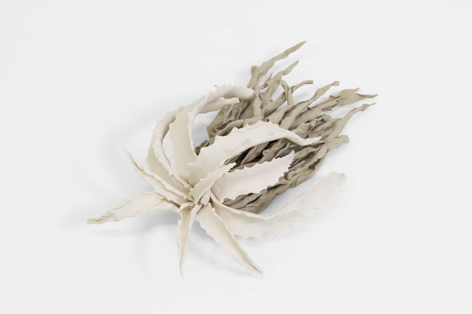 Katie Spragg, Beusty Aloe 1, 2, 3, 2023, Porcelain, porcelain-buff clay blend, 9 x 6 1_2 x 3 inches, Huxley-Parlour