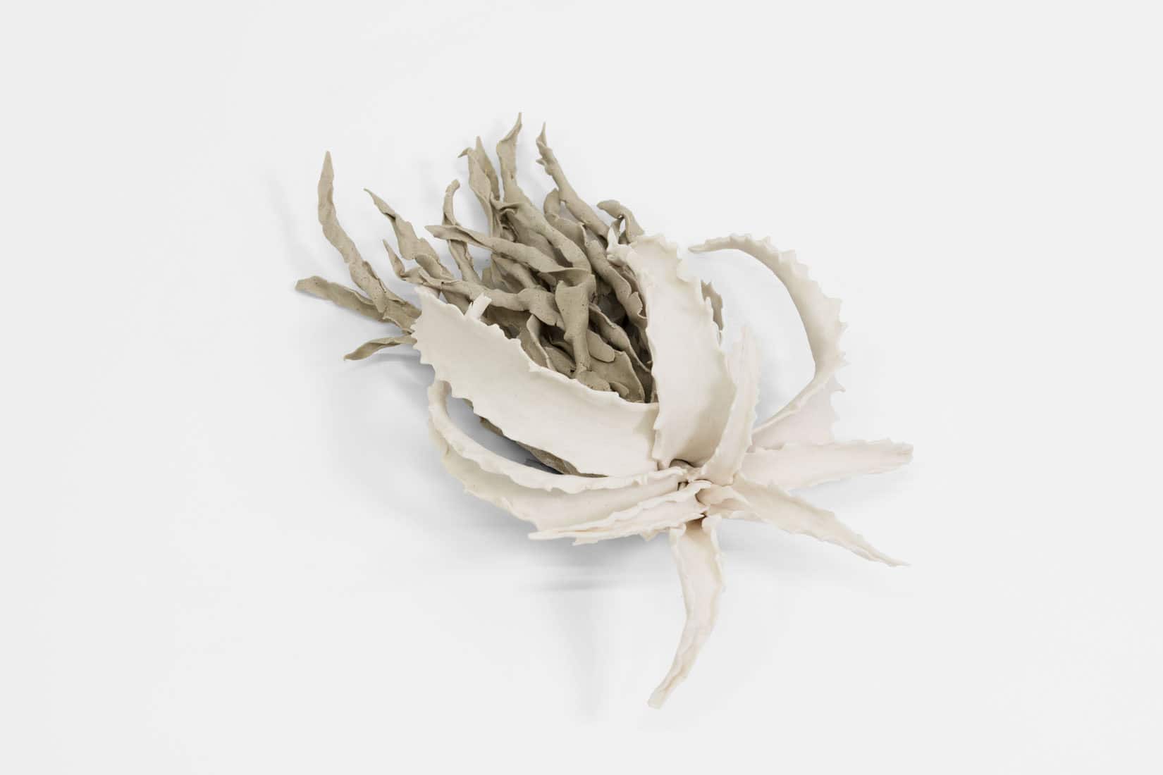 Katie Spragg, Beusty Aloe 1, 2, 3, 2023, Porcelain, porcelain-buff clay blend, 9 x 6 1_2 x 3 inches, Huxley-Parlour