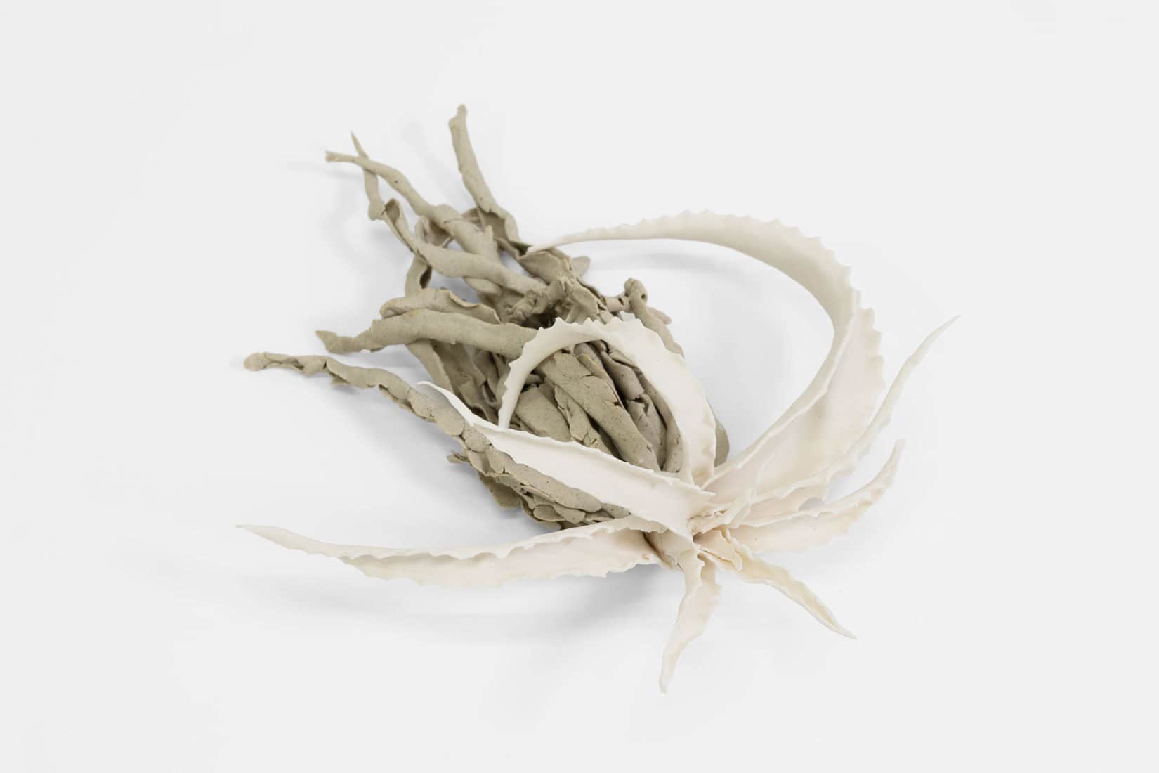 Katie Spragg, Beusty Aloe 1, 2, 3, 2023, Porcelain, porcelain-buff clay blend, 9 x 6 1_2 x 3 inches, Huxley-Parlour