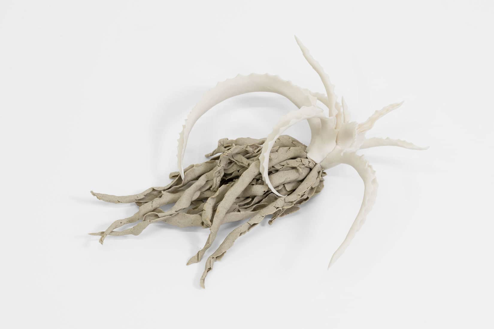 Katie Spragg, Beusty Aloe 1, 2, 3, 2023, Porcelain, porcelain-buff clay blend, 9 x 6 1_2 x 3 inches, Huxley-Parlour