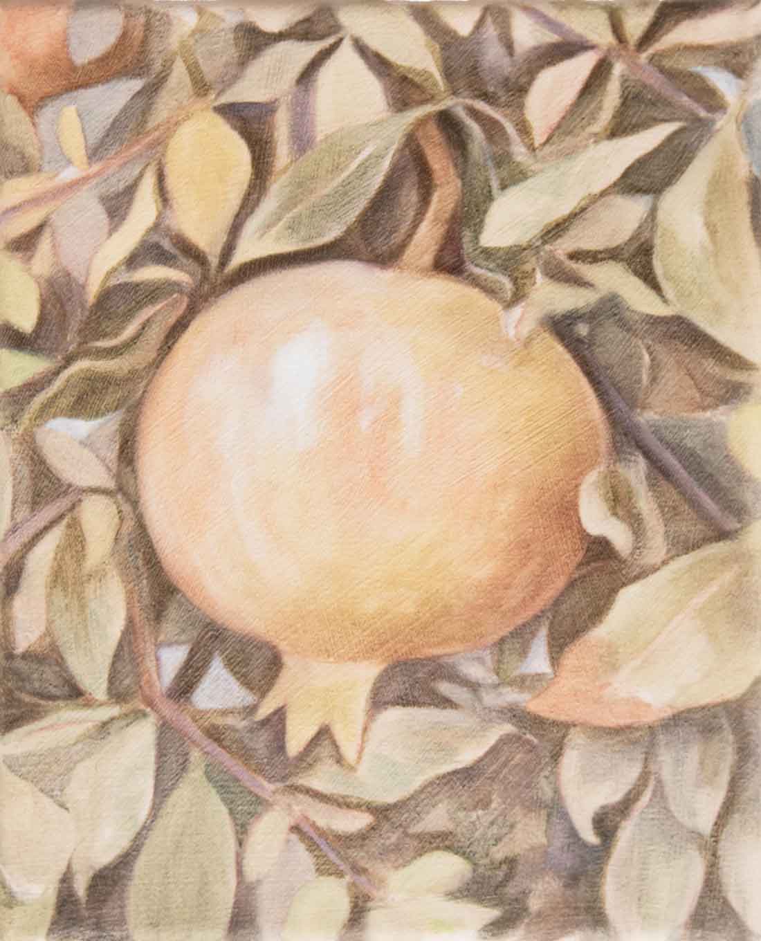 Ruben-Muller,-Pomegranate,-2025,-Huxley-Parlour