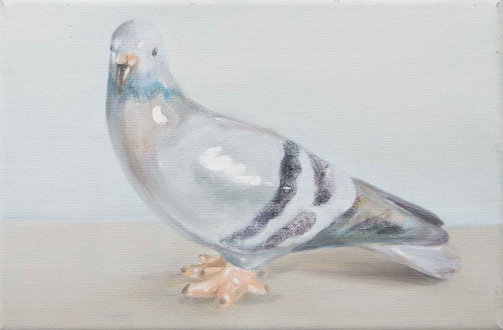 Serpil Mavi Ustun, Pigeon, 2025, Huxley-Parlour