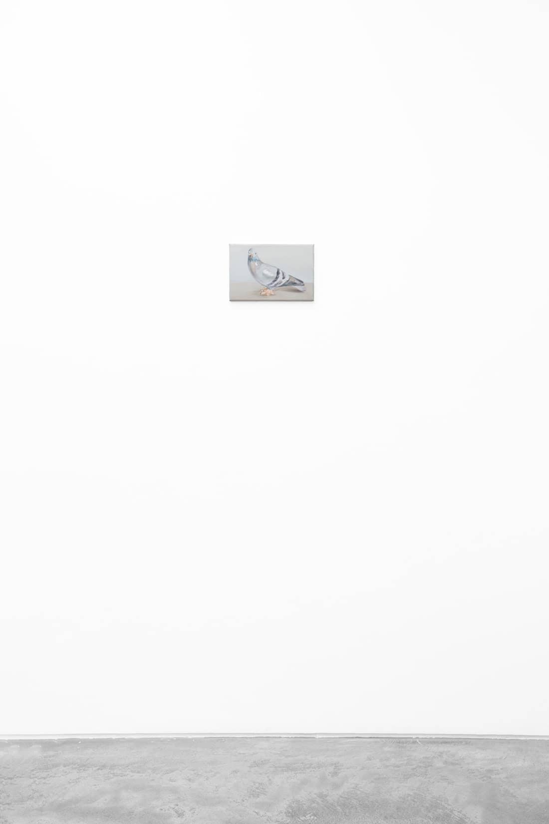 Serpil Mavi Ustun, Pigeon, 2025, Huxley-Parlour