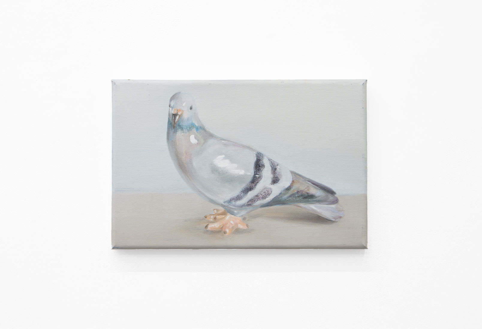 Serpil Mavi Ustun, Pigeon, 2025, Huxley-Parlour