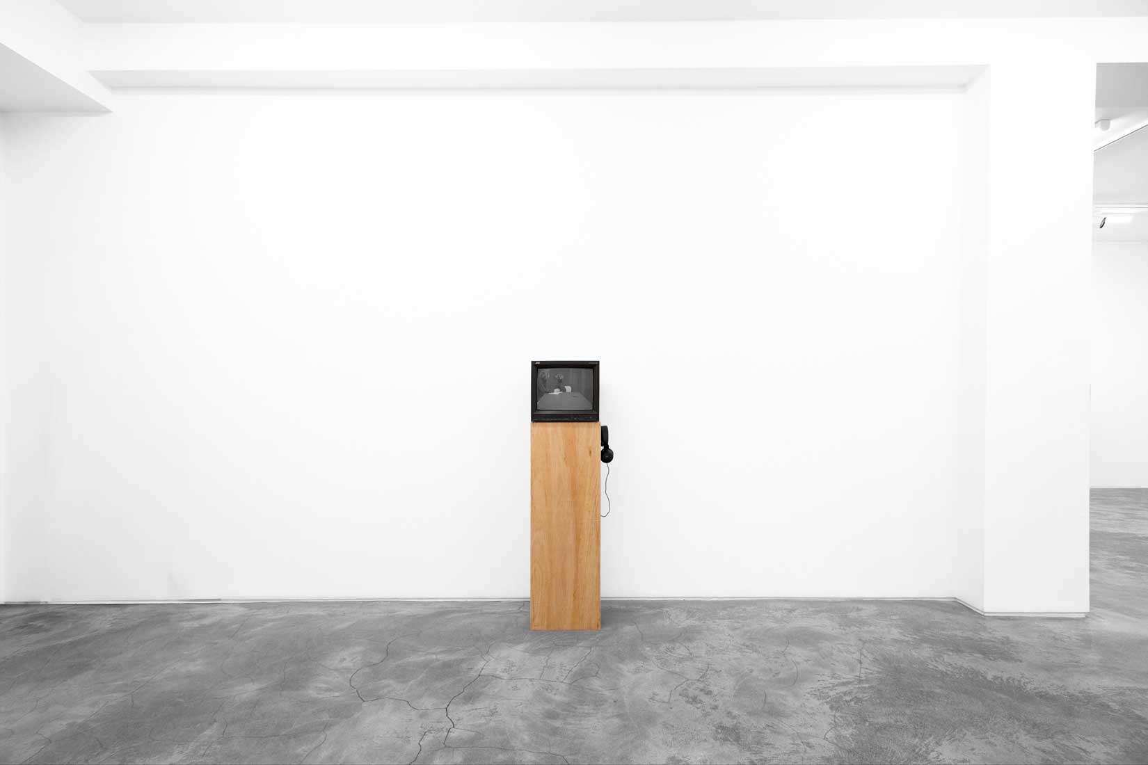 William Wegman, Video Works, 1990-77, Huxley-Parlour, 2026