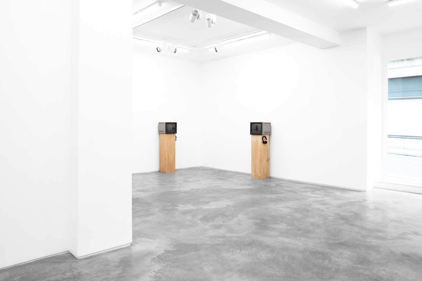 William Wegman, Video Works, 1990-77, Huxley-Parlour, 2026