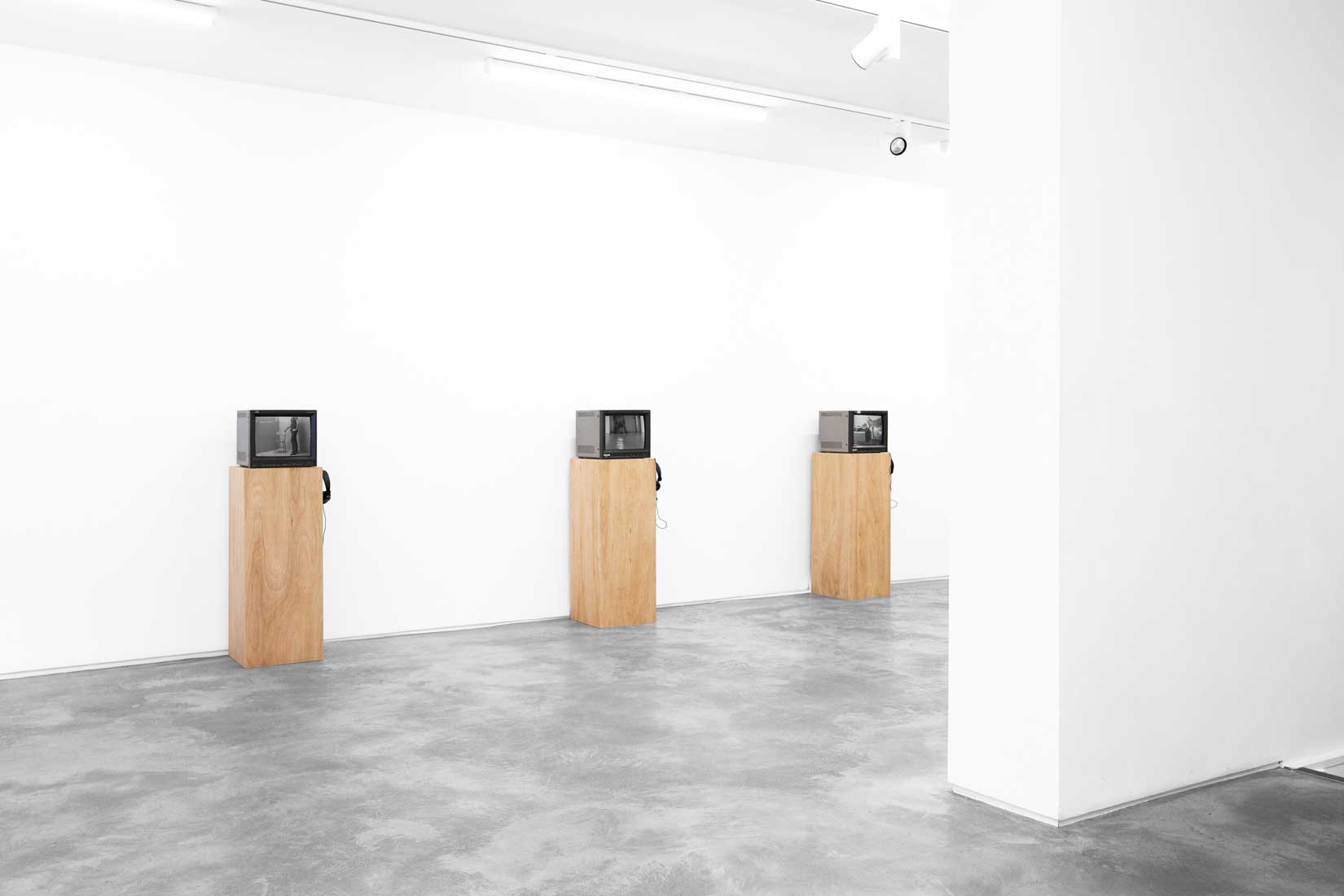 William Wegman, Video Works, 1990-77, Huxley-Parlour, 2026