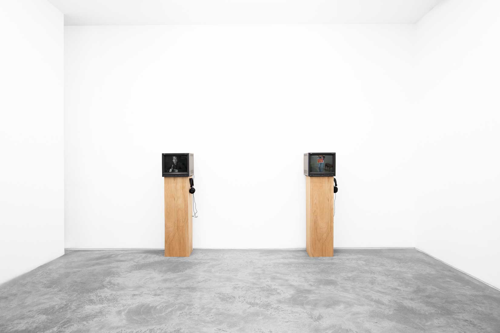 William Wegman, Video Works, 1990-77, Huxley-Parlour, 2026