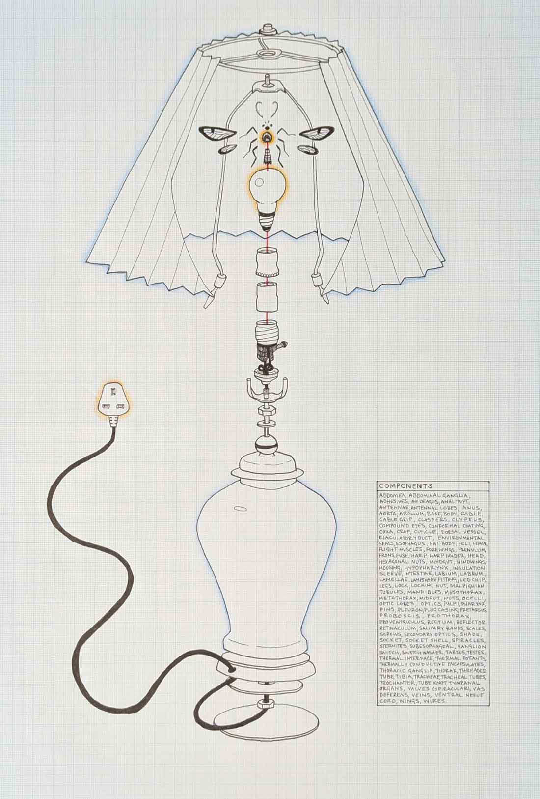 Tom Fairlamb, Drawing 1