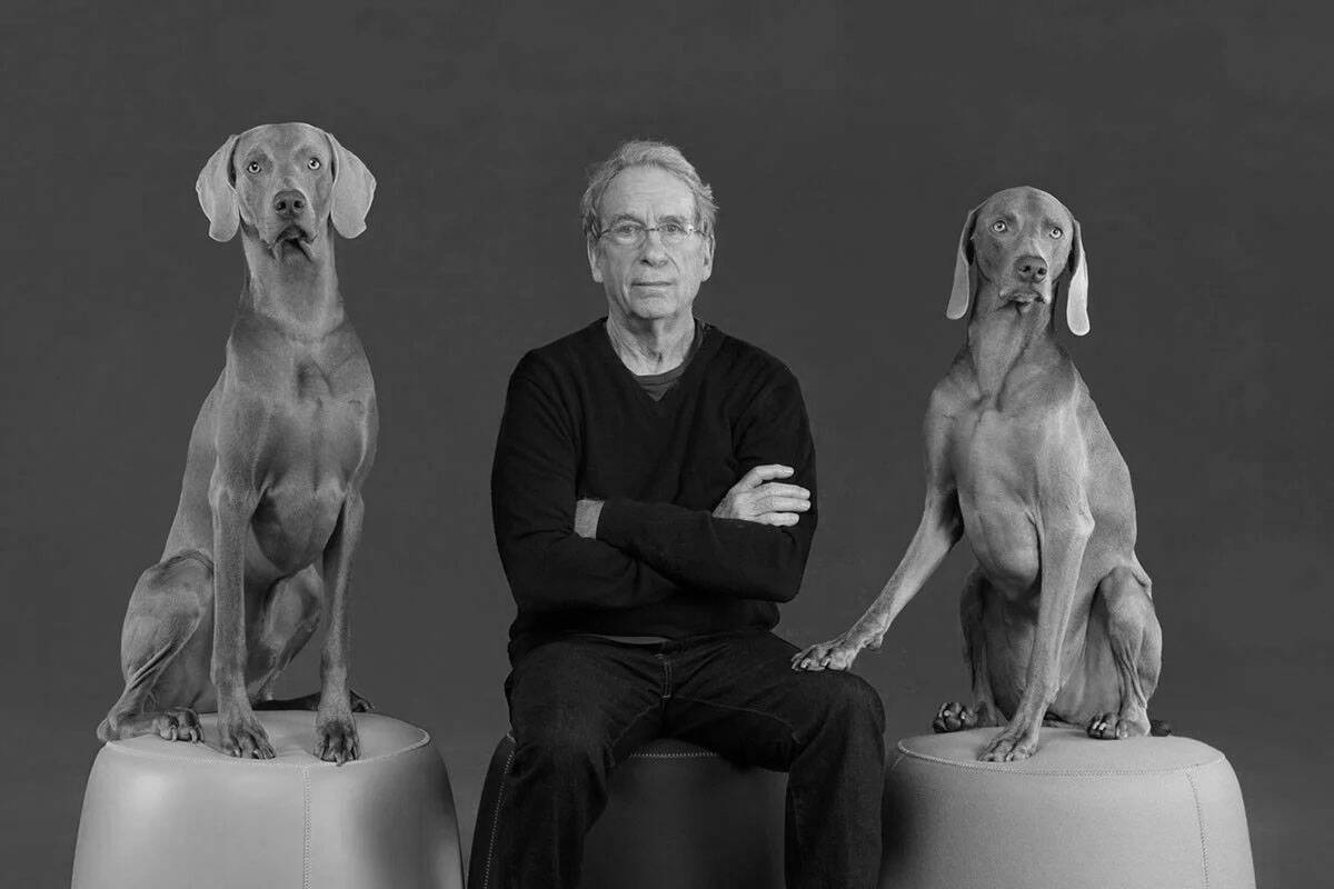 WIlliam-Wegman-Portrait