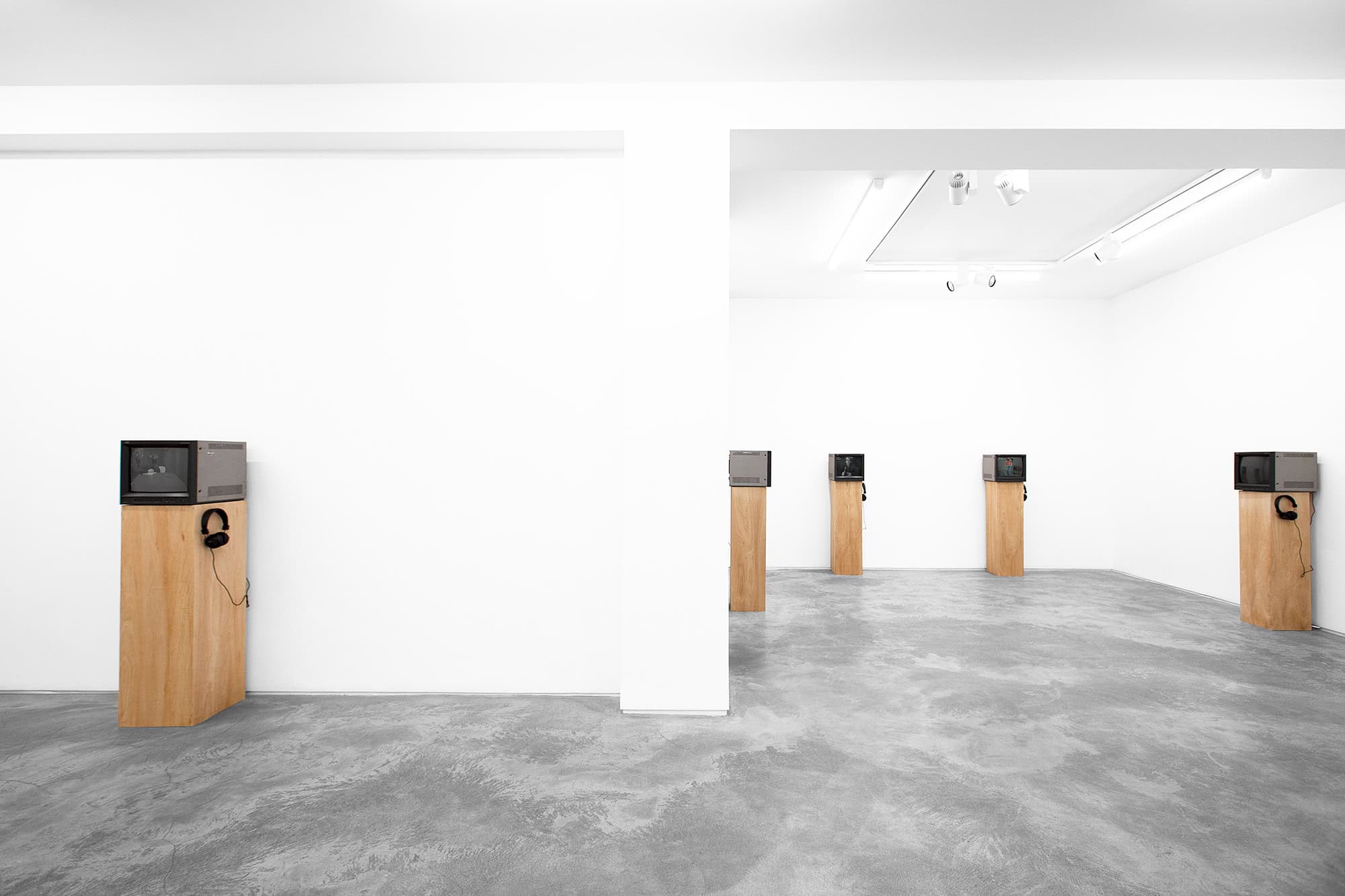 William Wegman, Video Works, 1990-77, Huxley-Parlour, 2026