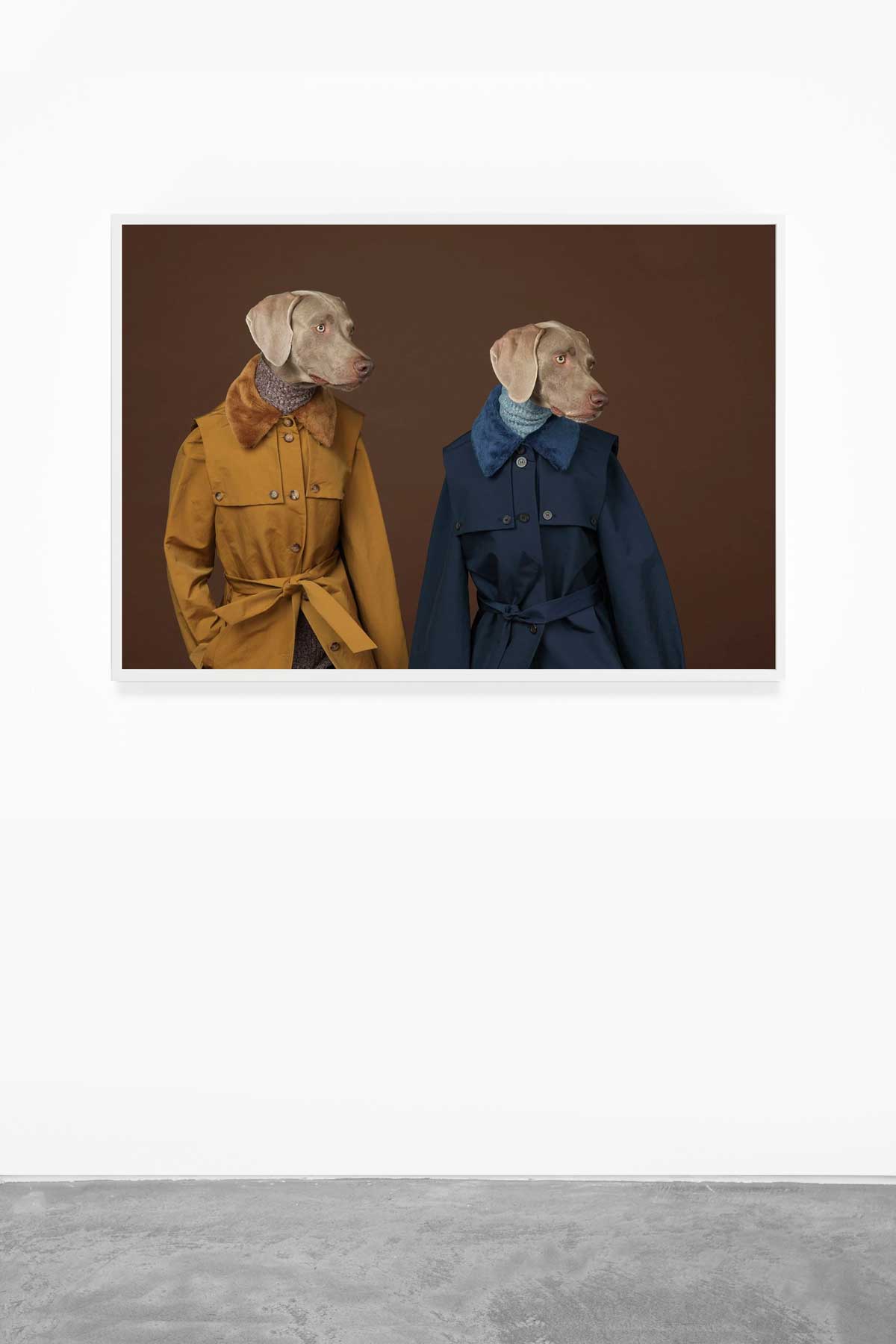 William-Wegman,-Looking-Right,-2015,-Pigment-print,-44-x-34-inches,-Huxley-Parlour