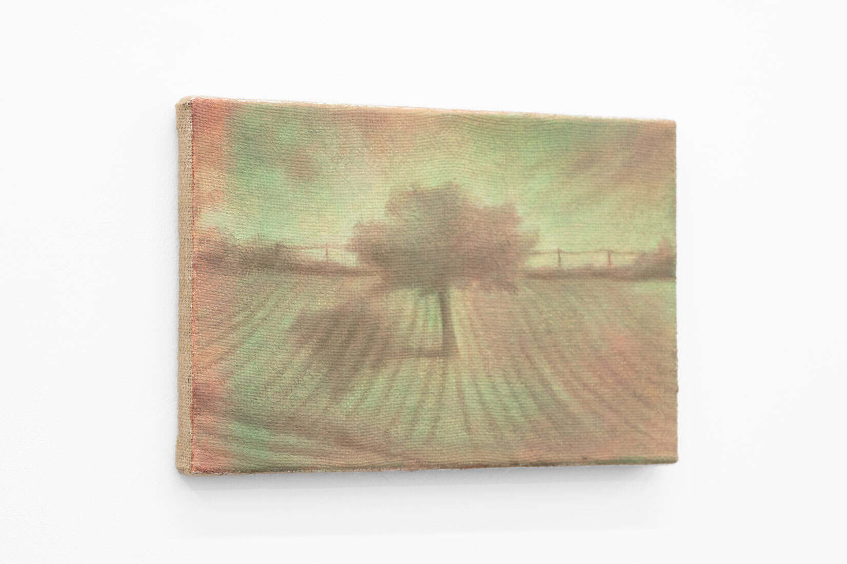 Megan Menzies, Middle, 2026, Oil on jute