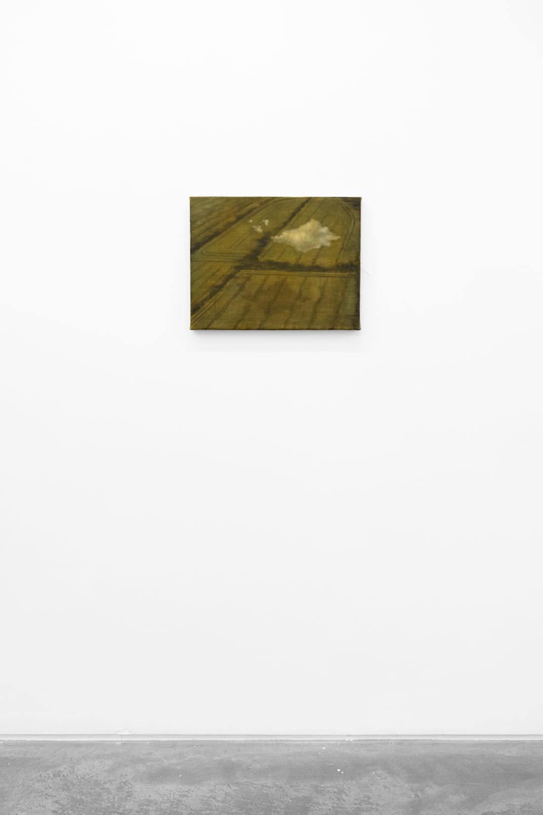 Megan Menzies, Hover, 2026, Oil on jute