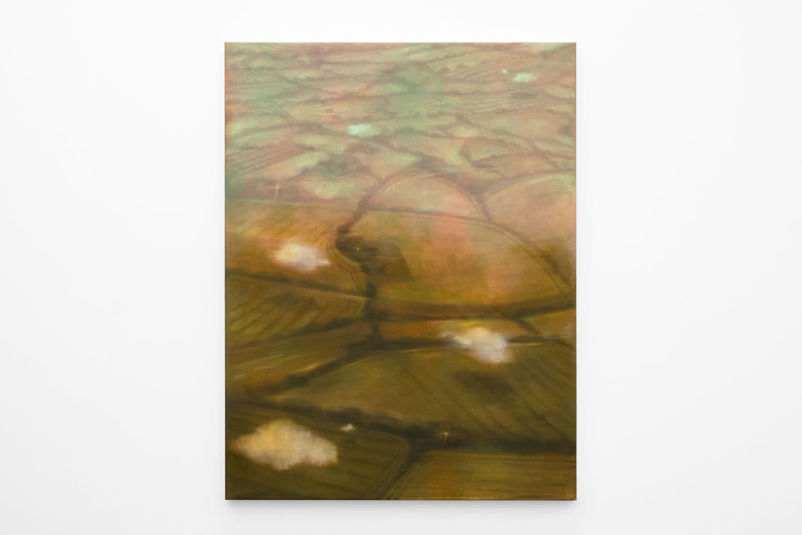 Megan Menzies, Field Perspective, 2026, Oil on canvas