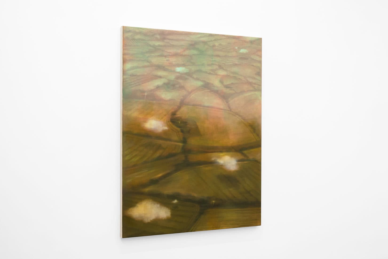 Megan Menzies, Field Perspective, 2026, Oil on canvas
