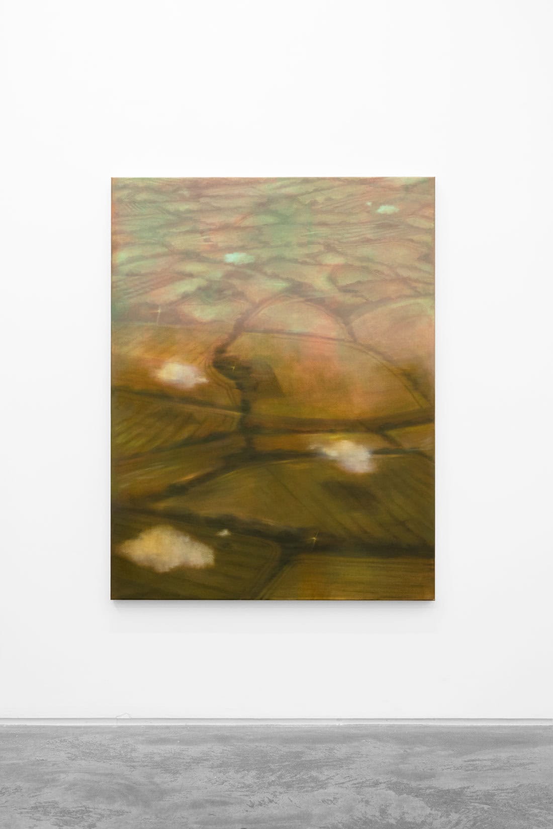 Megan Menzies, Field Perspective, 2026, Oil on canvas