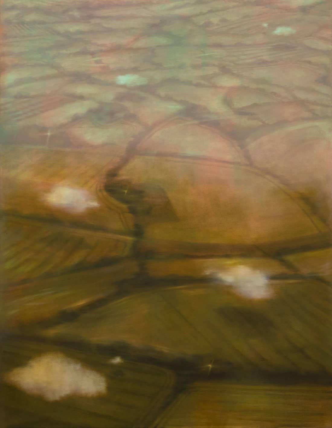 Megan Menzies, Field Perspective, 2026, Oil on canvas