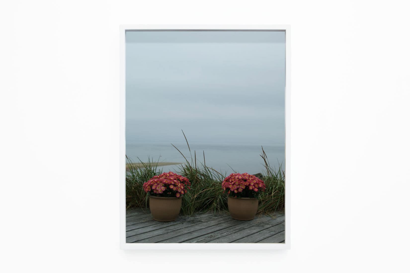 Photo of two pots with pink flowers in front of the ocean.