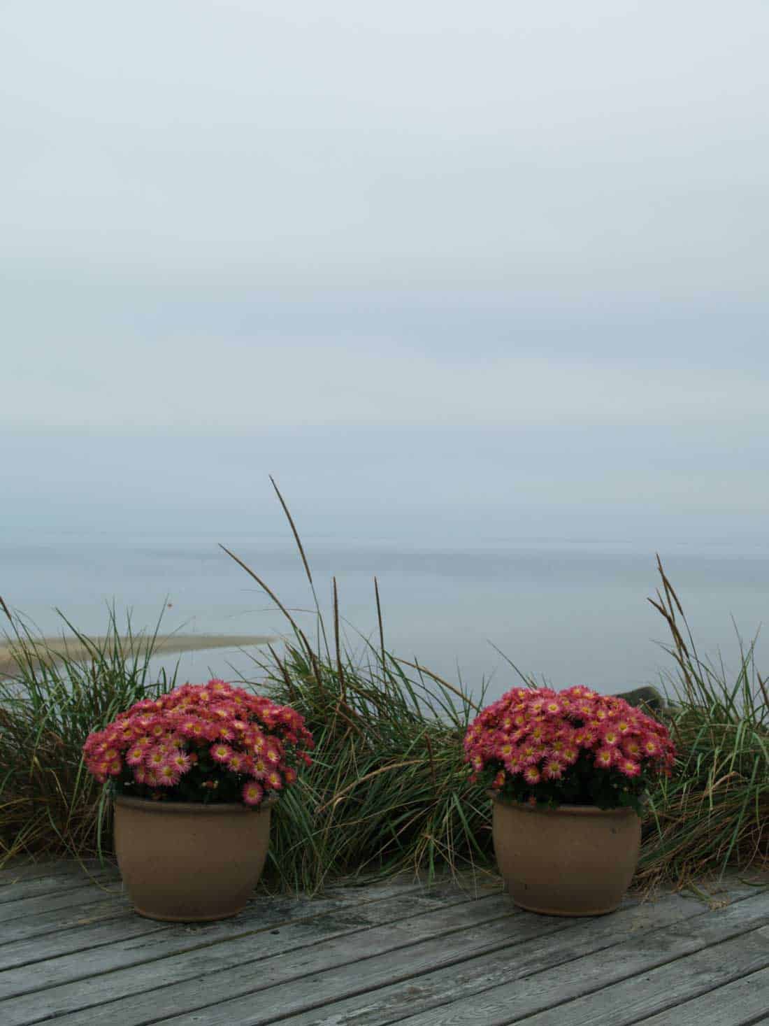 Joel Meyerowitz, Cape Cod, Provincetown, 2004, Archival pigment print