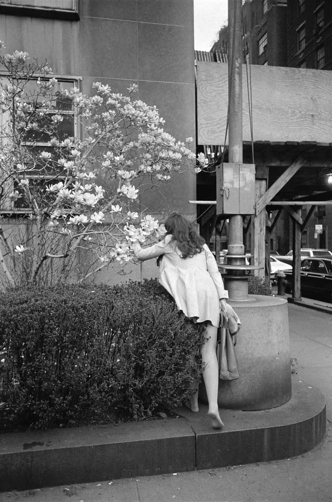 Joel Meyerowitz, New York City, 1970, Archival pigment print
